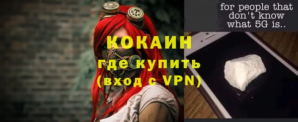 тгк Лиски
