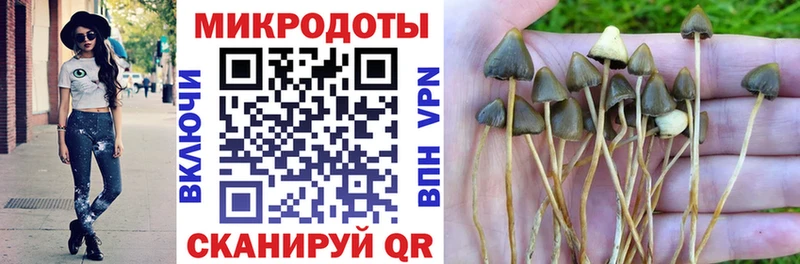 Псилоцибиновые грибы MAGIC MUSHROOMS  Купить  Южноуральск 