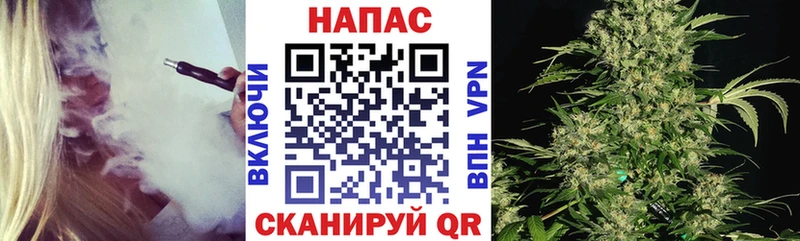 Купить закладки  Южноуральск  Бошки марихуана SATIVA & INDICA 
